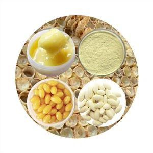 Healthy Care Royal Jelly